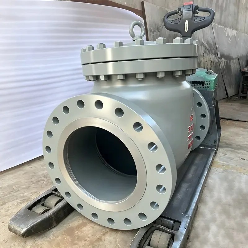 Api 6d Check Valve.jpg Api 6d Check Valve.jpg